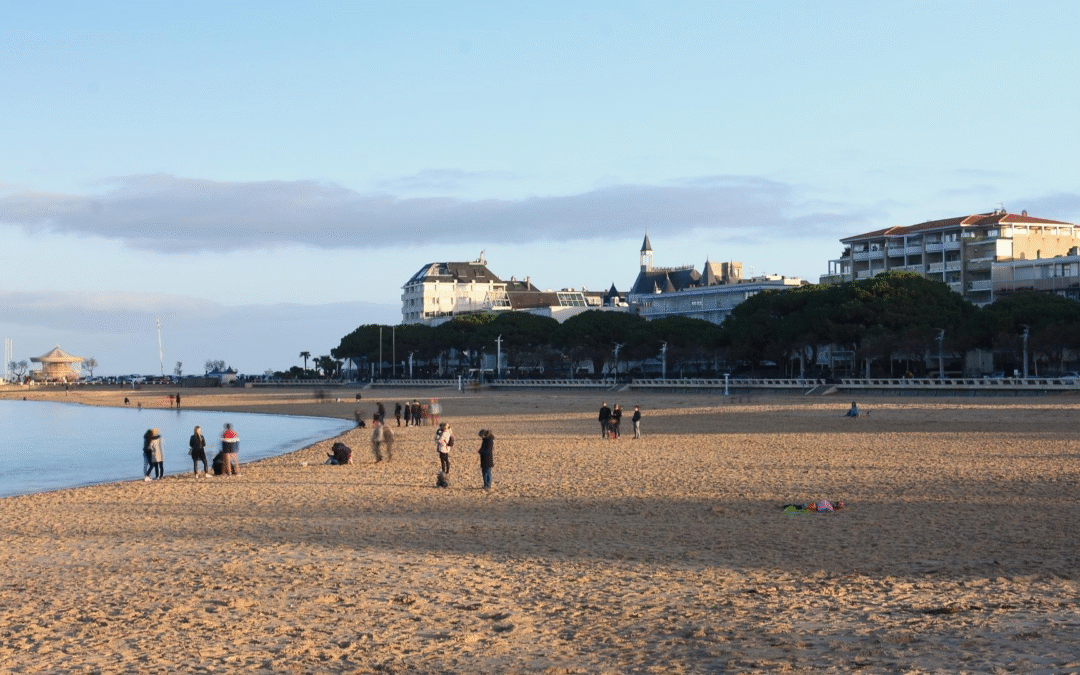 Immobilier arcachon pyla entre océan et forêt charme et rendement