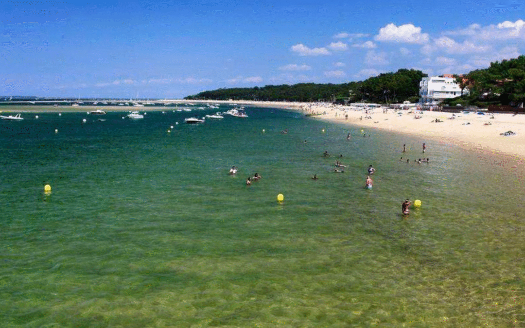 Moulleau arcachon : dégustations, balades insolites et art de vivre