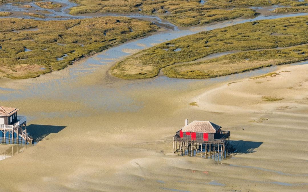 Visiter le bassin d’arcachon autrement en 2024