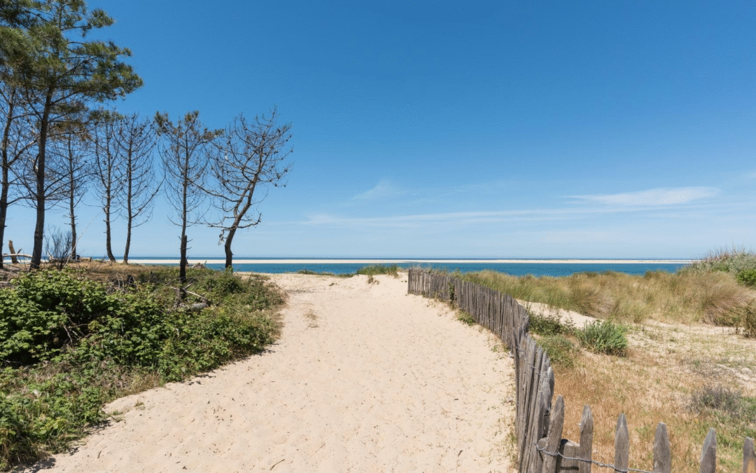 Bassin d’arcachon en 2024 guide iodé et inspirant