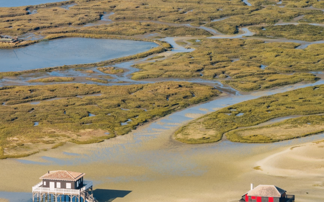 Arcachon en 2024: culture, écotourisme et dunes mythiques