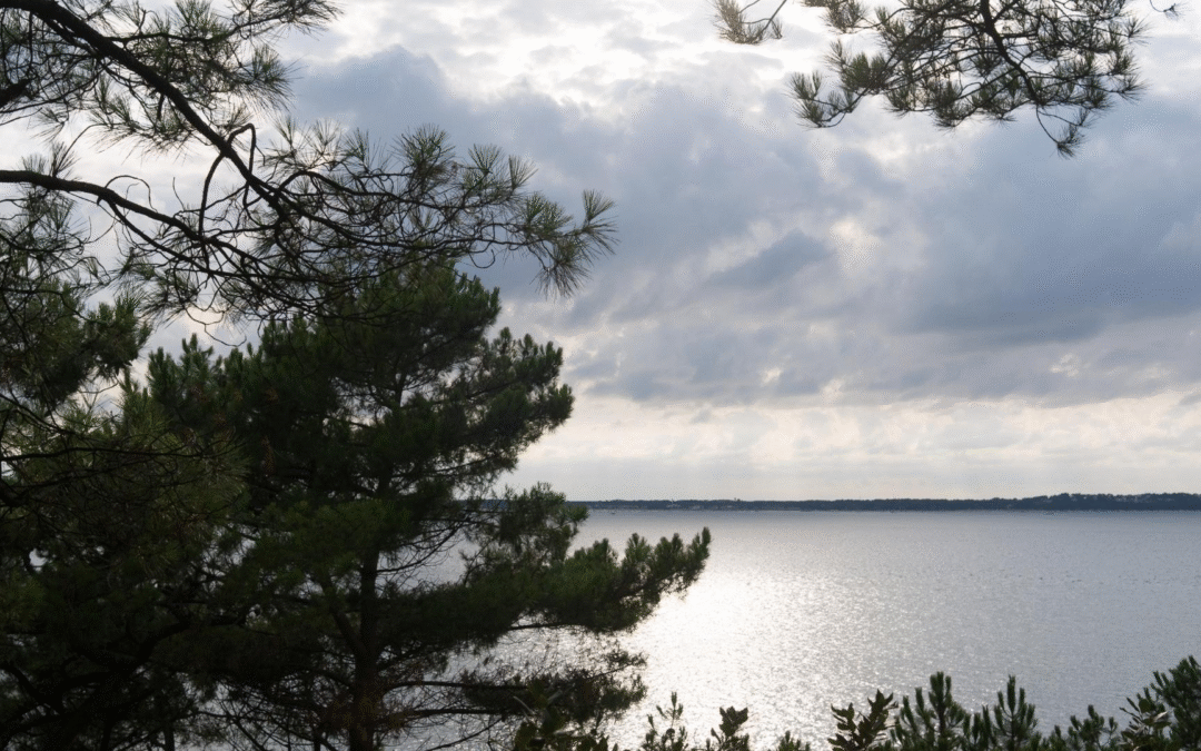 Immobilier bassin d’arcachon séduit familles et investisseurs
