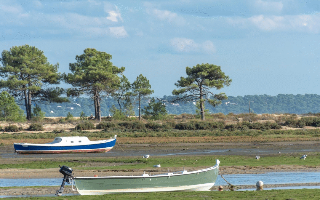 Immersion iodée au bassin d’arcachon entre tradition et innovation durable