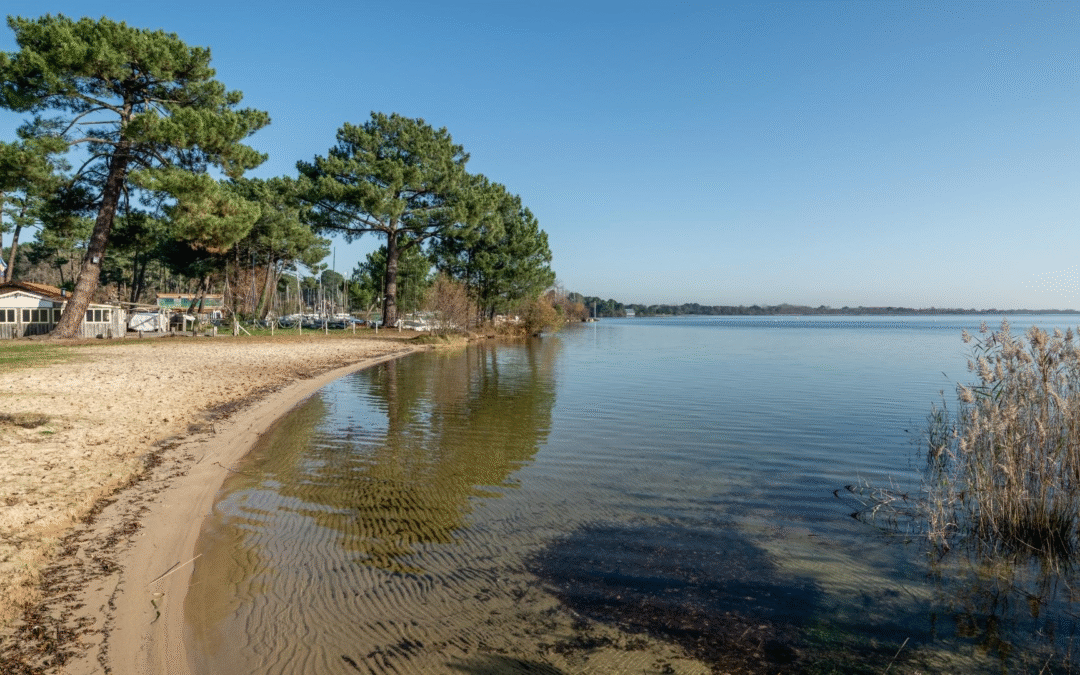 Bassin d’arcachon séduit avec animations culturelles nature et tourisme durable