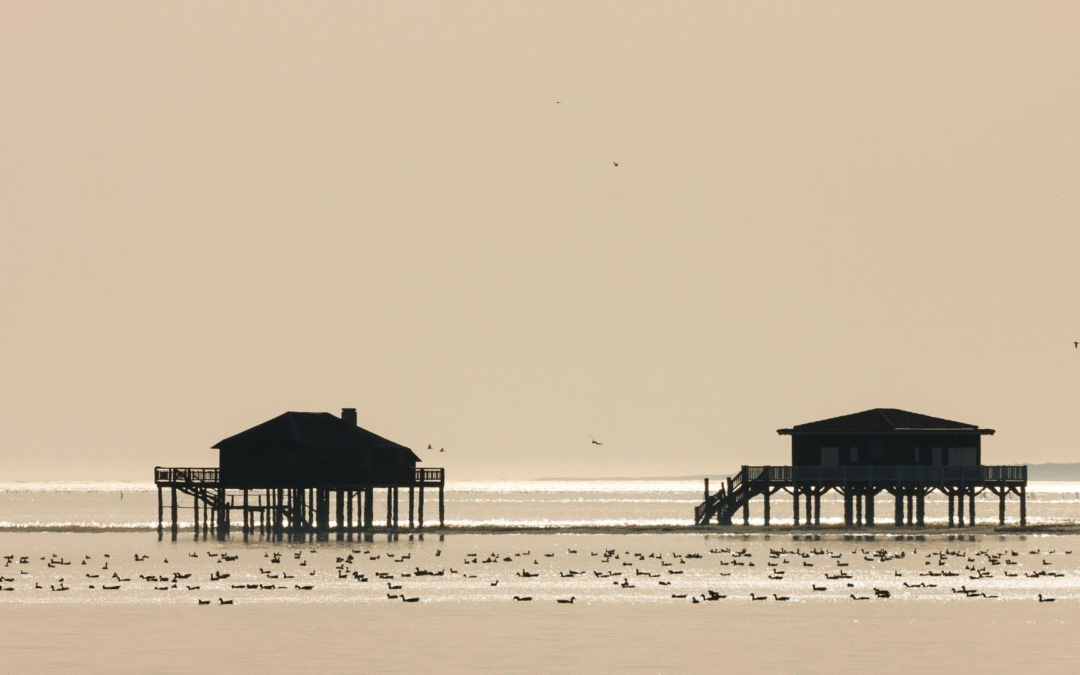 Bassin d’arcachon séduit 1,8 million de visiteurs en 2023