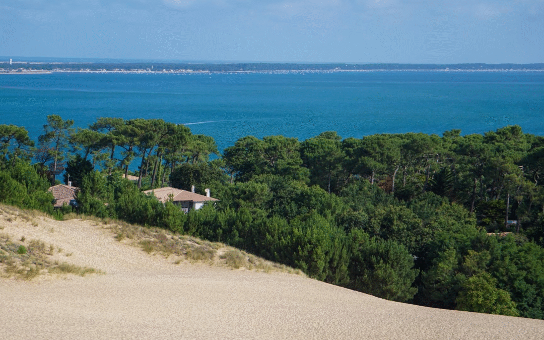 Plongez dans l’univers captivant du bassin d’Arcachon et ses trésors