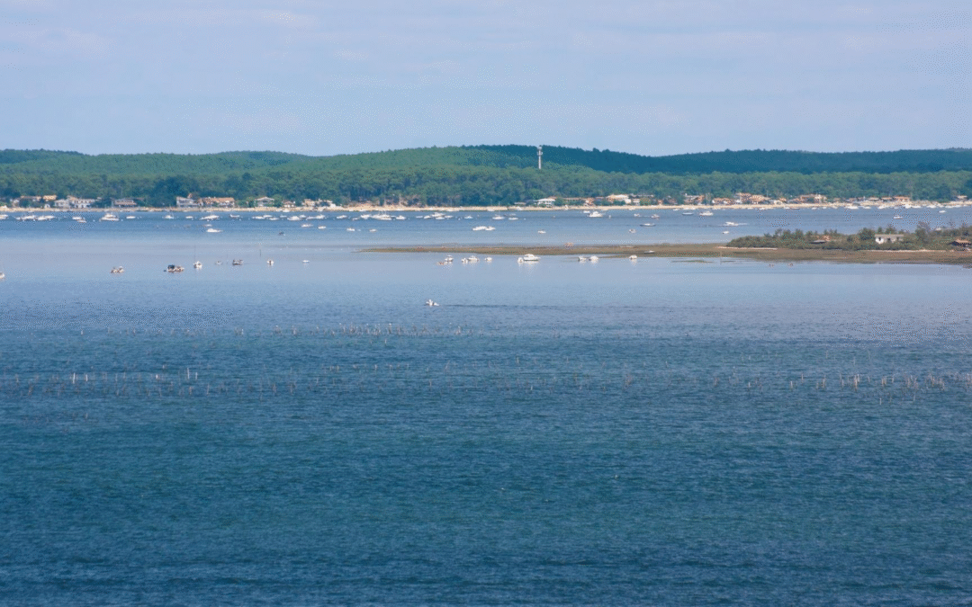 Immobilier arcachon flambe avec des prix record en 2023