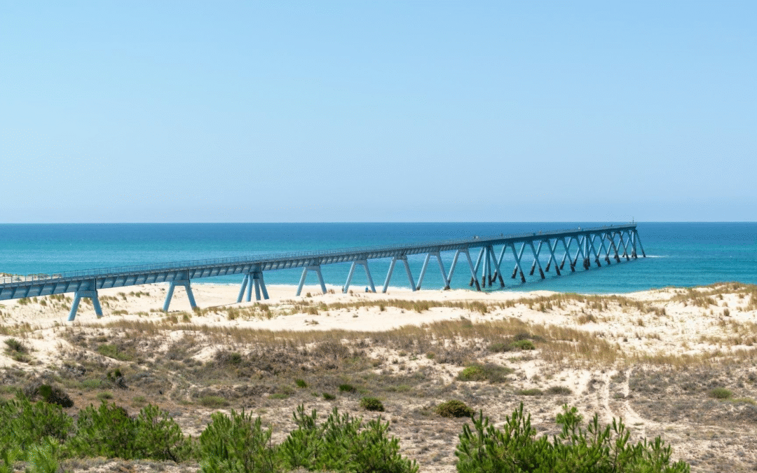 Arcachon attire 2,3 millions de visiteurs entre dunes et traditions