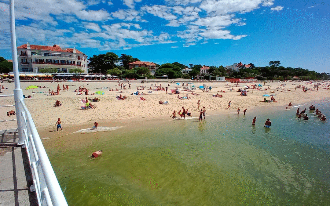 Immobilier arcachon : dynamiques et conseils pour réussir votre projet d&rsquo;investissement