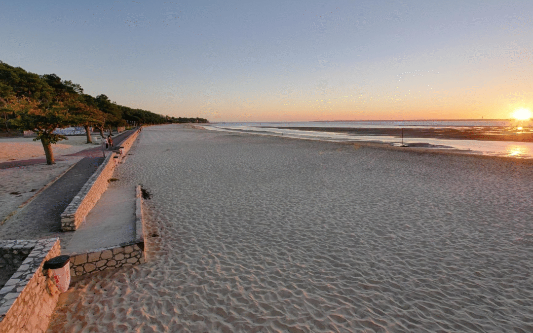 Arcachon rayonne grâce à culture, tourisme durable et innovations naturelles