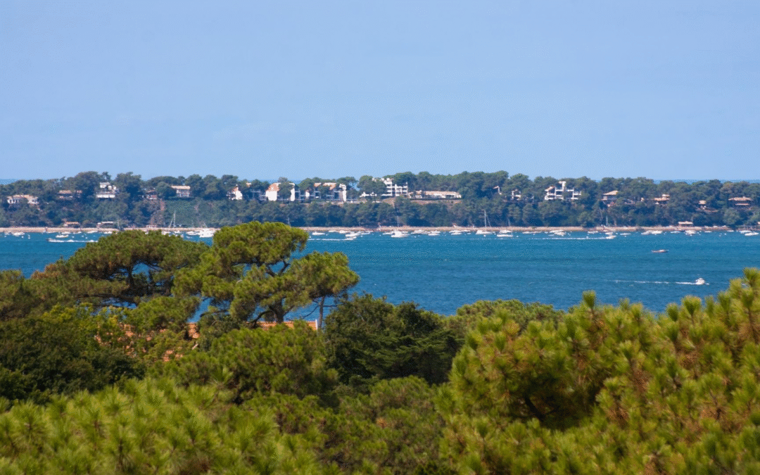 Renouveau arcachonnais entre culture, nature et tourisme record