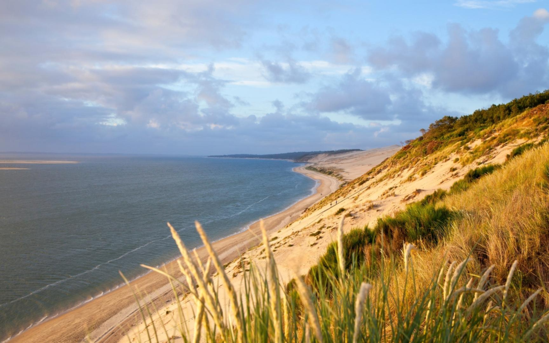 Immobilier Bassin d’Arcachon en 2023 : croissance de 6 %