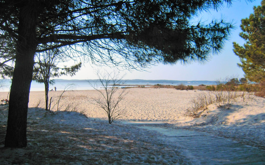 Immobilier arcachon pyla 2023, +8% de hausse et prestige inégalé